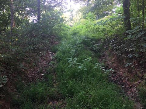 72467 Bunker Hill Rd, Mcarthur, OH 45651 photo 14