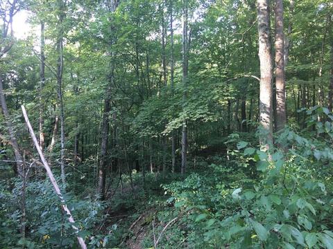 72467 Bunker Hill Rd, Mcarthur, OH 45651 photo 19