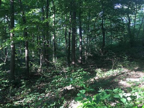 72467 Bunker Hill Rd, Mcarthur, OH 45651 photo 17