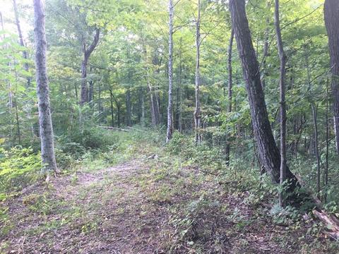 72467 Bunker Hill Rd, Mcarthur, OH 45651 photo 30