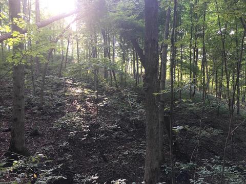 72467 Bunker Hill Rd, Mcarthur, OH 45651 photo 23