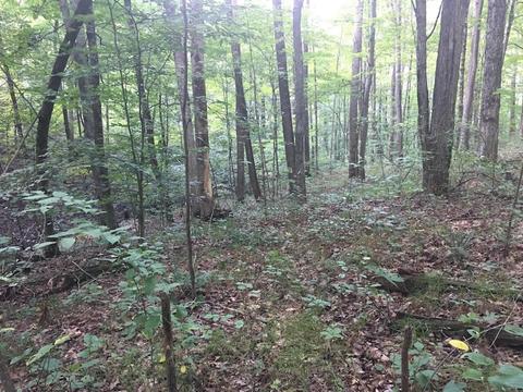 72467 Bunker Hill Rd, Mcarthur, OH 45651 photo 25