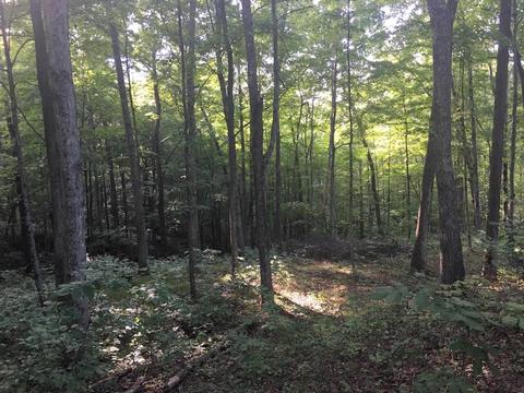 72467 Bunker Hill Rd, Mcarthur, OH 45651 photo 32