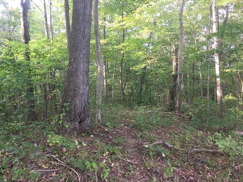 72467 Bunker Hill Rd, Mcarthur, OH 45651 photo 31