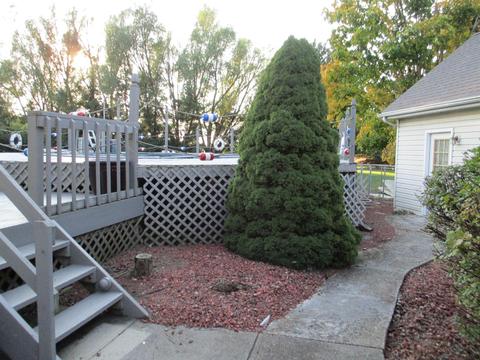 6265 Hughes Rd, Prospect, OH 43342 photo 5