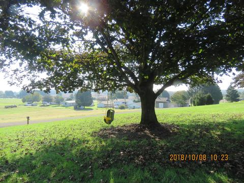 11609 Walker Rd, Logan, OH 43138 photo 9