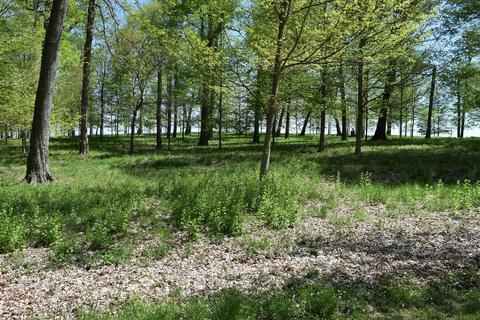 7040 Stevenson Rd, Cable, OH 43009 photo 4