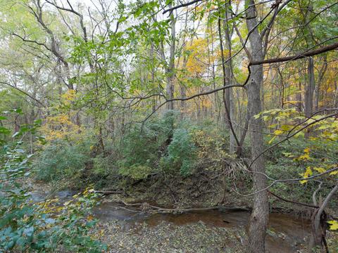 364 Madolin Dr, Lithopolis, OH 43136 photo 35