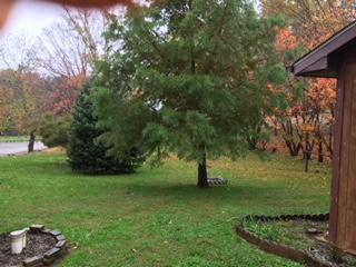 33232 Keller Rd, Logan, OH 43138 photo 7