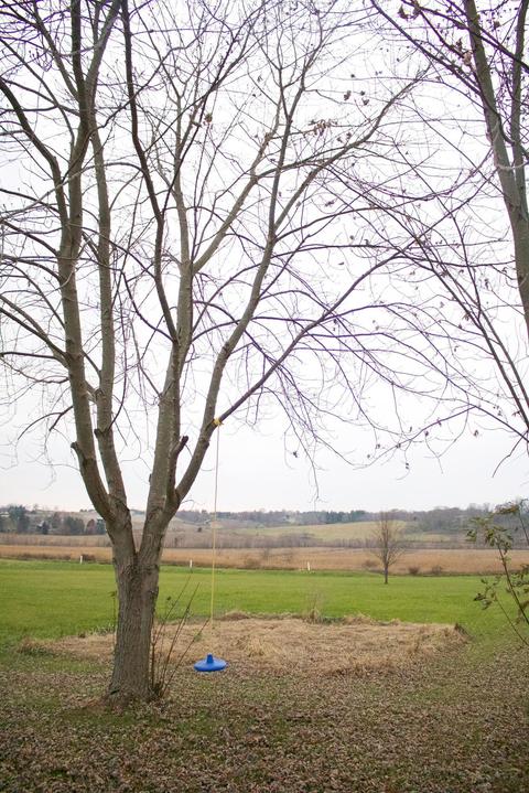 27561 Kime-holderman Rd, Circleville, OH 43113 photo 7