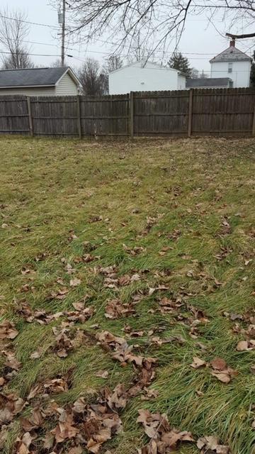 118 Dunmore Rd, Circleville, OH 43113 photo 3