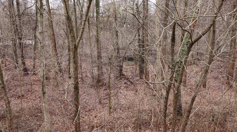 165 Deer Path Ct, Pataskala, OH 43062 photo 62