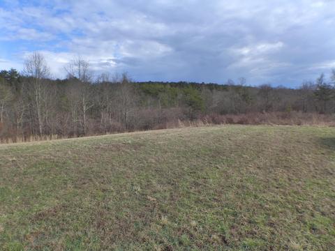 17110 Collison Rd, Logan, OH 43138 photo 6