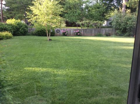 424 Holiday Ln, Circleville, OH 43113 photo 34
