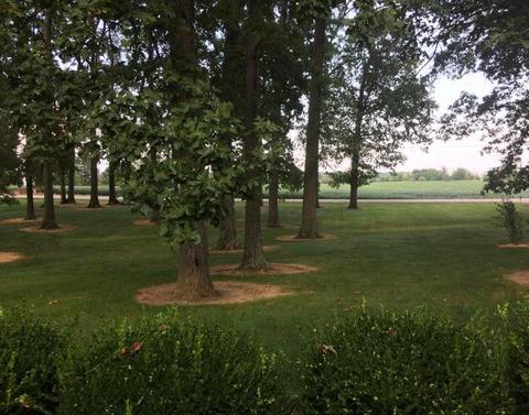 4587 Powell Rd, Marion, OH 43302 photo 69