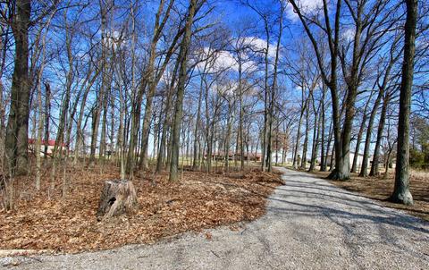 4587 Powell Rd, Marion, OH 43302 photo 80