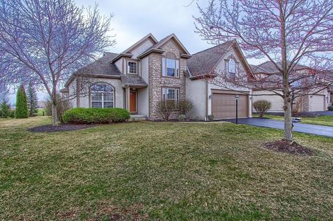 7175 Springview Ln, Dublin, OH 43016 photo 1