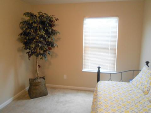 328 Victor Dr, Circleville, OH 43113 photo 30