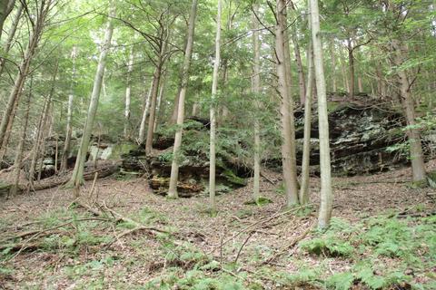 25653 Bailey Rd, Rockbridge, OH 43149 photo 22