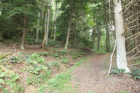 25653 Bailey Rd, Rockbridge, OH 43149 photo 25