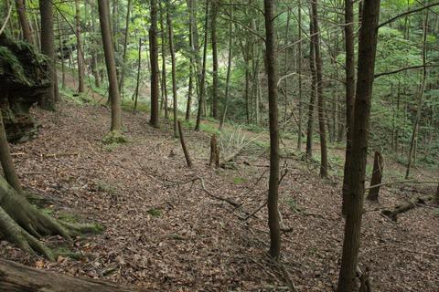 25653 Bailey Rd, Rockbridge, OH 43149 photo 27