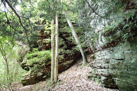 25653 Bailey Rd, Rockbridge, OH 43149 photo 9