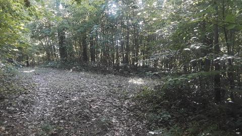 25653 Bailey Rd, Rockbridge, OH 43149 photo 19
