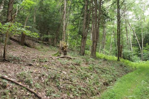 25653 Bailey Rd, Rockbridge, OH 43149 photo 21