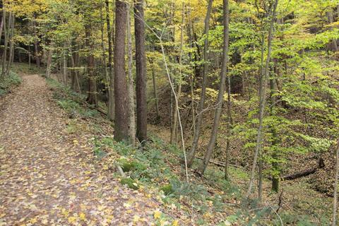 25653 Bailey Rd, Rockbridge, OH 43149 photo 37