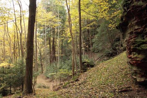 25653 Bailey Rd, Rockbridge, OH 43149 photo 3