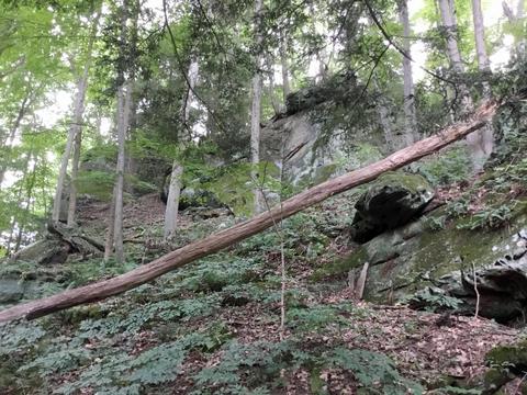 25653 Bailey Rd, Rockbridge, OH 43149 photo 33