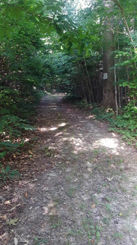 25653 Bailey Rd, Rockbridge, OH 43149 photo 20