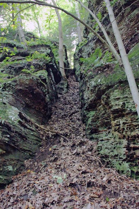 25653 Bailey Rd, Rockbridge, OH 43149 photo 8