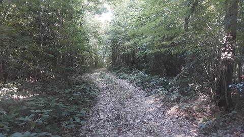 25653 Bailey Rd, Rockbridge, OH 43149 photo 18