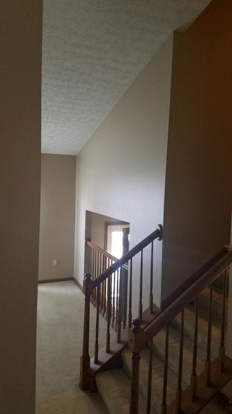 863 Buehler Dr, Delaware, OH 43015 photo 15