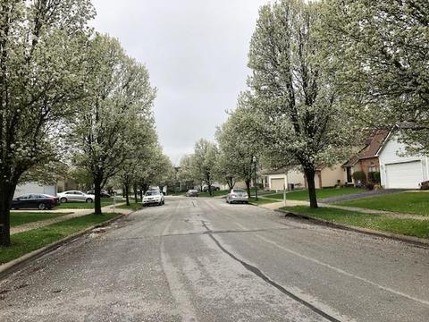 863 Buehler Dr, Delaware, OH 43015 photo 3