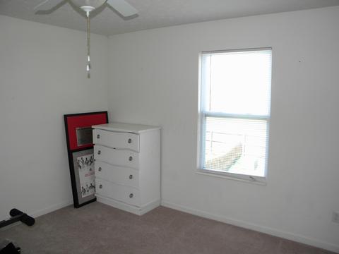 340 Constance St, Lockbourne, OH 43137 photo 24