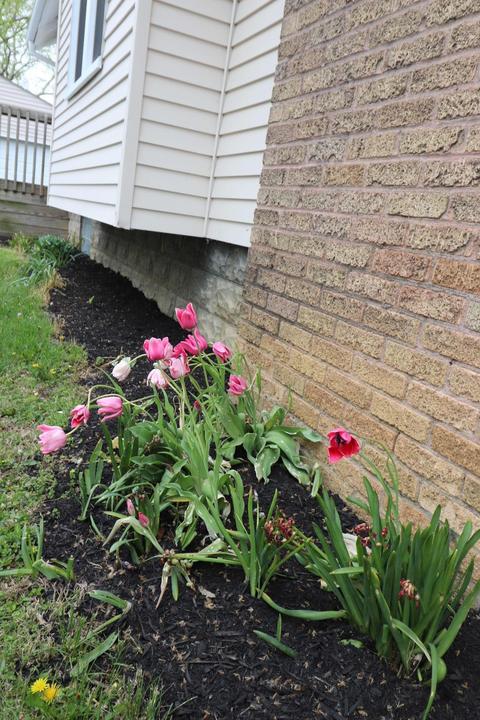 477 Eldon Ave, Columbus, OH 43204 photo 32