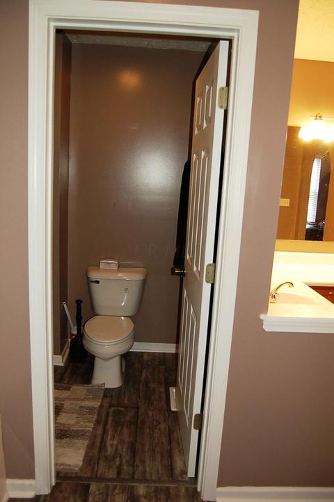 136 Saddle Tree Ct, Delaware, OH 43015 photo 36