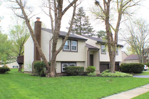 8763 Ripton Dr, Powell, OH 43065 photo 2