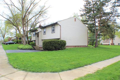 8763 Ripton Dr, Powell, OH 43065 photo 5
