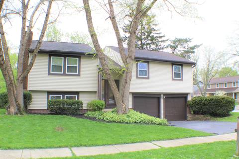 8763 Ripton Dr, Powell, OH 43065 photo 1
