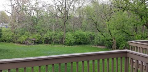 1236 Spring Brook Ct, Westerville, OH 43081 photo 8