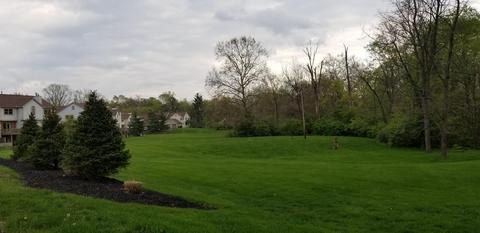 1236 Spring Brook Ct, Westerville, OH 43081 photo 28