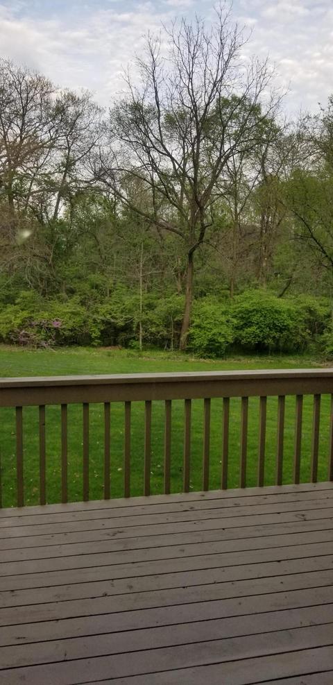 1236 Spring Brook Ct, Westerville, OH 43081 photo 7
