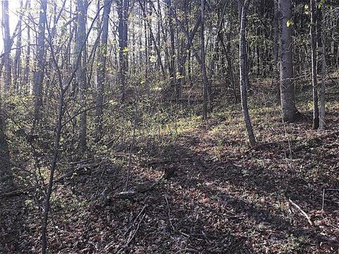 56184 Log Pile Rd, Ray, OH 45672 photo 17