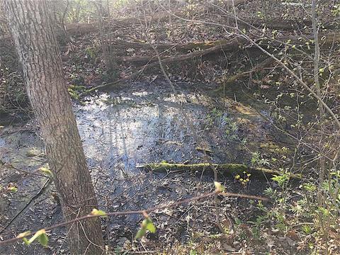 56184 Log Pile Rd, Ray, OH 45672 photo 19