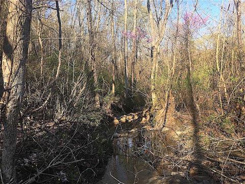 56184 Log Pile Rd, Ray, OH 45672 photo 24