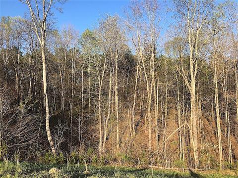 56184 Log Pile Rd, Ray, OH 45672 photo 30
