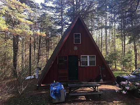 56184 Log Pile Rd, Ray, OH 45672 photo 3